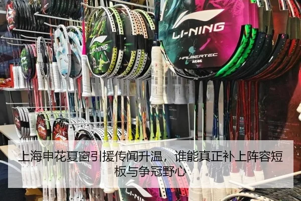 上海申花夏窗引援传闻升温，谁能真正补上阵容短板与争冠野心 - lansedaohang