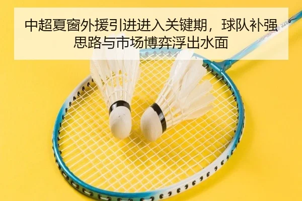 中超夏窗外援引进进入关键期，球队补强思路与市场博弈浮出水面 - lansedaohang